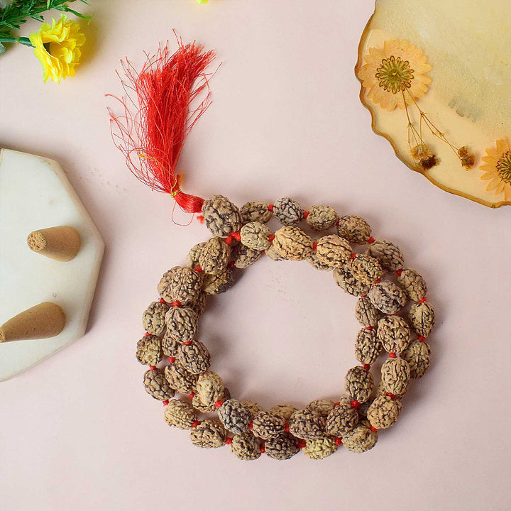 Certified 3 Mukhi Kantha Rudraksha Mala with light brown beads for spiritual healing, meditation, and emotional strength. India’s Premium Rudraksha Jap Mala Store- www.satvikstore.in


