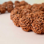 5 Mukhi Rudraksha Kantha Mala