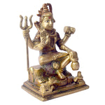 6 Inch Premium Brass Shiv Idol