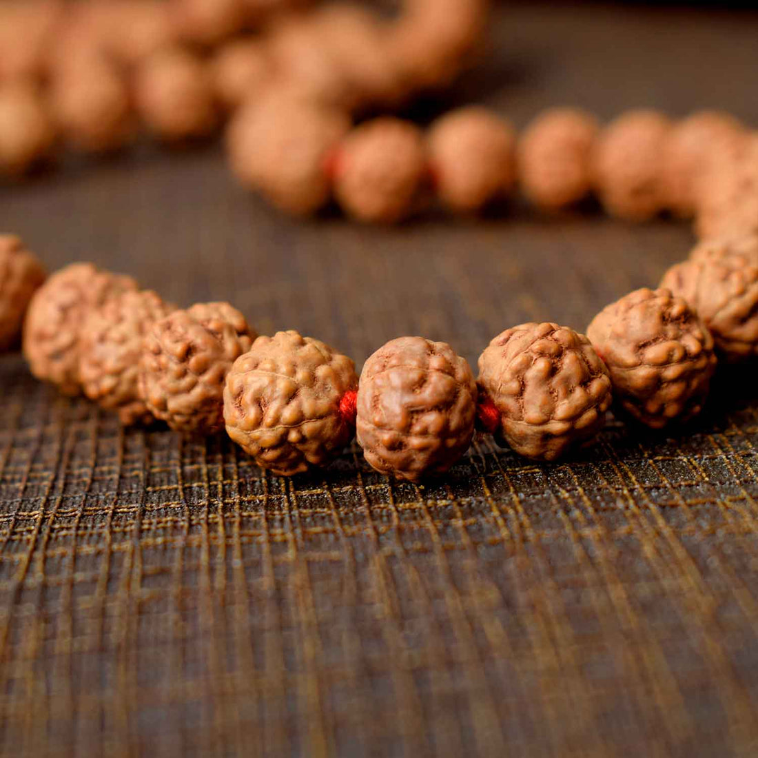 6 Mukhi Pathariya Rudraksha Mala 8-9 mm