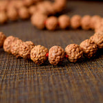 6 Mukhi Pathariya Rudraksha Mala 8-9 mm