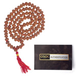 7 Mukhi Pathariya Rudraksha Mala 7-8mm
