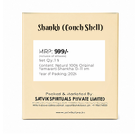 Natural 100% Original Vamavarti Shankha 10–11 cm