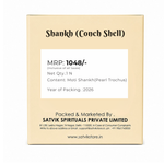 Moti Shankh (Pearl Trochus) – Purity, Peace & Pooja Blessings
