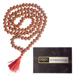 10 Mukhi Pathariya Rudraksha Mala 8-9mm