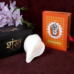 Natural 100% Original Vamavarti Shankha 5.5 Inch Blowing Conch for Pooja. India’s Largest Pooja Accessories Brand - www.satvikstore.in