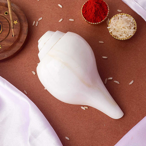 Natural 100% Original Vamavarti Shankha 5.5 Inch Blowing Conch for Pooja. India’s Largest Pooja Accessories Brand - www.satvikstore.in