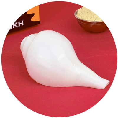 Shankh