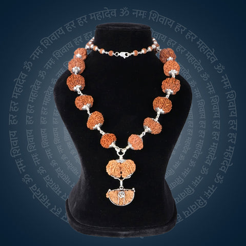 Siddha Mala with 1 Mukhi Half Moon (Collector Rudraksha, Nepal)