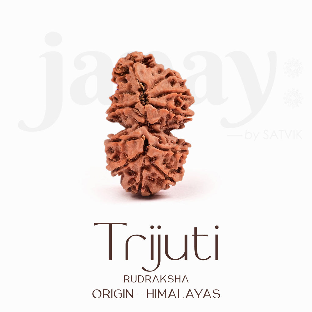 Certified Trijuti Rudraksha Bead – Rare Himalayan bead formed by three naturally joined rudrakshas, symbolizing Trinity (Brahma, Vishnu, Mahesh), representing unity, supreme consciousness, and spiritual power. India’s Largest Brass Idols Brand - www.satvikstore.in
