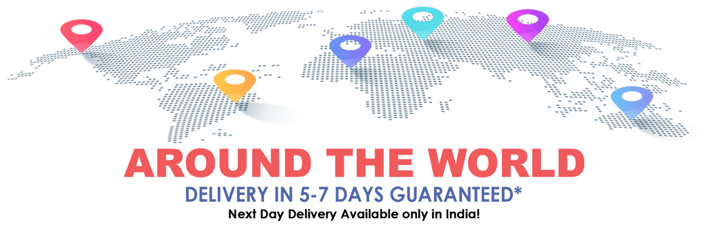 around the world fast delivery satvikstore.in