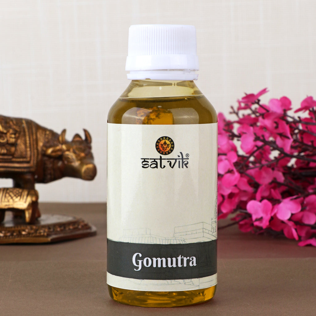 Gaumutra (Cow Urine) 100 ml is a sacred and purifying substance, widely used in religious rituals, poojas, and spiritual practices for its healing and purifying properties – India’s Largest Pooja Accessories Brand – www.satvikstore.in