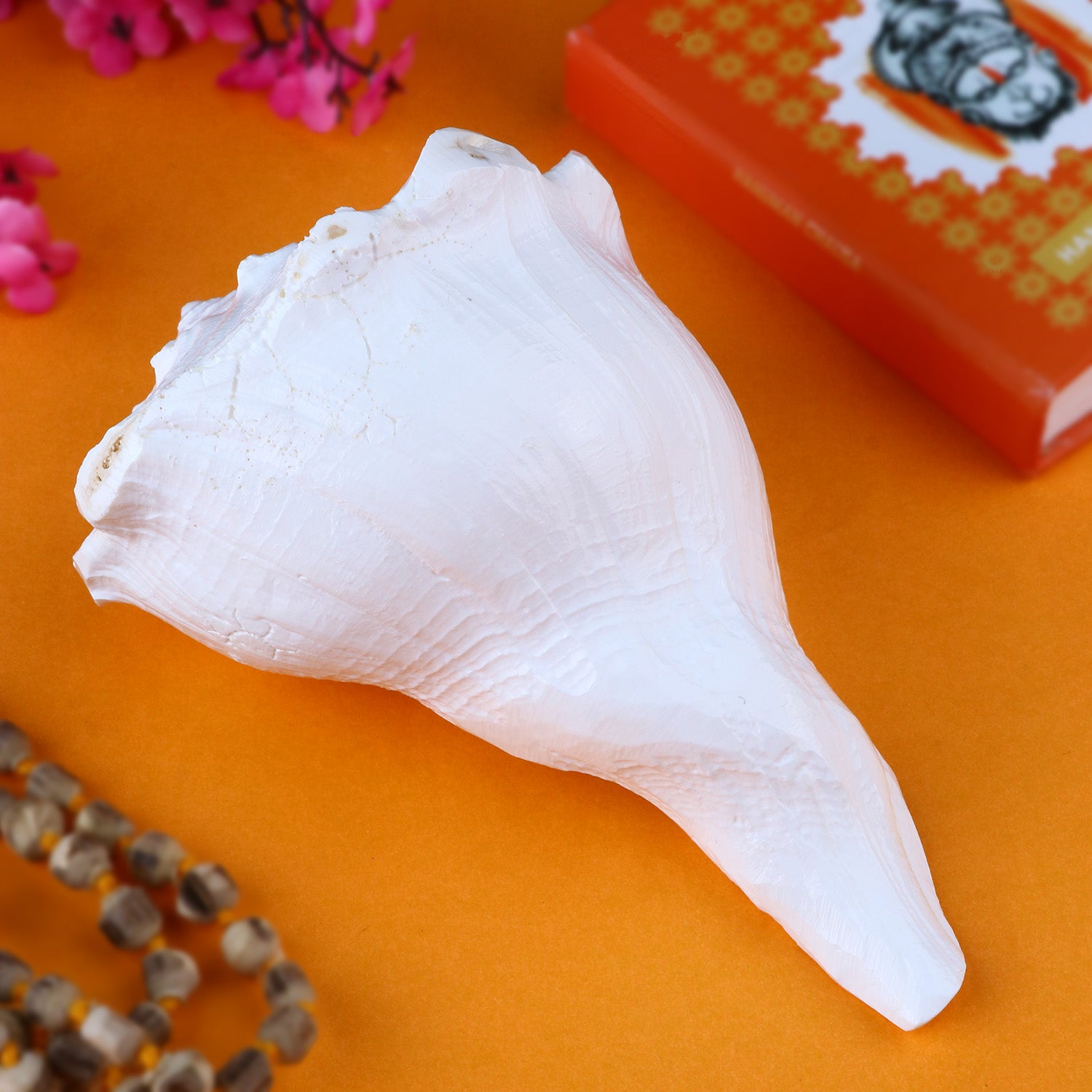 Authentic Shankh (Conch Shell) items for rituals and wealth — sacred pooja Shankh collectio