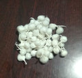 200 Pc Round Pure Cotton Wicks. Puja Store Online Pooja Items Online Puja Samagri Pooja Store near me www.satvikstore.in